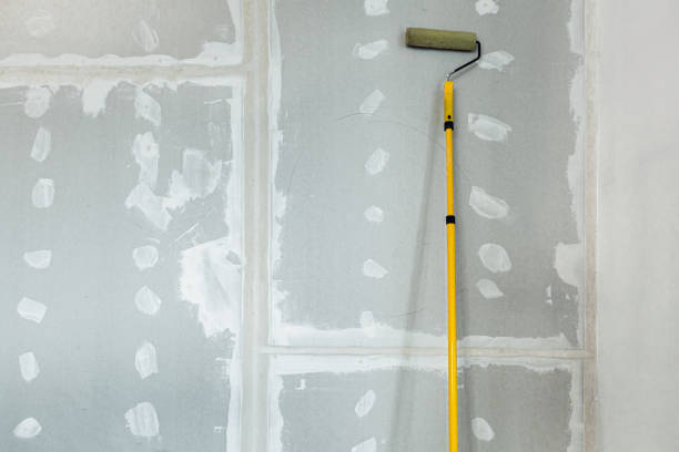 Best Mold Documentation for Insurance Claims  in Barberton, OH