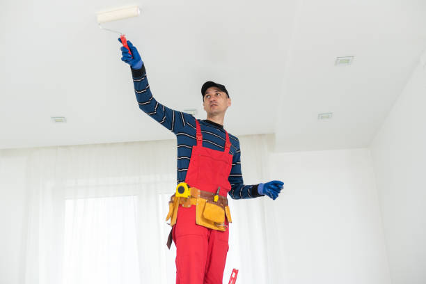 Best Commercial Mold Inspection  in Barberton, OH